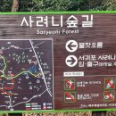 월든삼거리