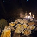 영월로 | 🍽️ 영월 보보스캇 캠핑장 먹부림 후기