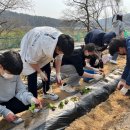 [가톨릭학교를 찾아서] (28)양업고등학교 이미지