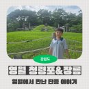 신할 충신 정려 | [영월 역사여행] 청령포와 장릉에서 만난 조선 단종 이야기