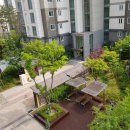 도담동늘봄초등학교 이미지