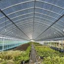 영권농장 이미지