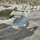 큰돌농장 이미지