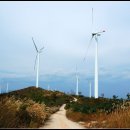바람개비 - 경주시 동천로37번길 2 | 바람개비