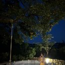 그날저지 이미지