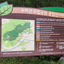 아이숲어린이집 | 군포 수리산 도립공원 숲속 놀이터 힐링 장소 산책하기