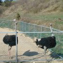 구룡목장 이미지