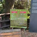 공영주차장 교통섬 | 제주 서귀포 외돌개 주차장부터 입장료까지 황우지해안까지 걸어보는 해안 산책