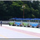 오동도로 이미지