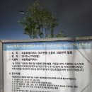 시민운동장 | [방문] 세종시민운동장 방문 후기