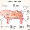 신흥식당 이미지