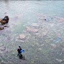 장호식당 이미지