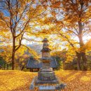 비로사진공대사보법탑비 | 영주 비로사 단풍 | 소백산 고찰에서 만나는 고요한 가을