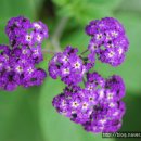 사기점골 이미지