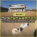 꽃날 | [광주 근교] 전남 애견 동반 독채 펜션 추천ㅣ꽃날 펜션