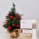 장수한의원 | 성복역 한의원 환절기 감기 증상 콜드퀵 복용후기