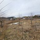 랜드고도람공인중개사사무소 이미지