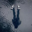 비울채울 이미지