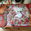 정영농장 이미지