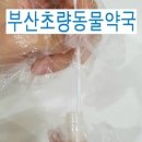 부산초량동물약국 이미지
