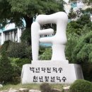 덕수고등학교(일반고) 이미지