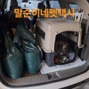 말순이네 이미지