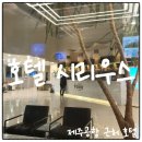 제주공항 근처 숙소, 호텔 시리우스 솔직 리뷰