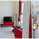 딩동댕애견스파풀빌라 이미지