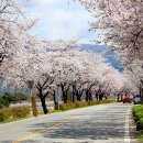 소라보체육공원 이미지