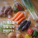 천냥할인마트 | 식명관 천원의 행복, 1,000원 장보기 가성비 진짜일까