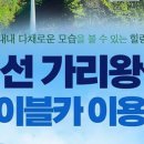 가리왕산역(케이블카 정상) 이미지