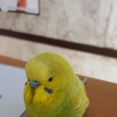 까치세차장 이미지