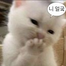 익싸이팅 이미지