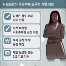 野보좌관, 軍에 기밀 700여건 요구...‘참수부대’ 정보도 받아갔다 이미지