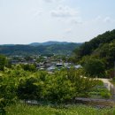 요룡농장 이미지