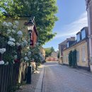 삼보프라텍(주)노동조합 | 스웨덴에서의 두번째 인턴 후기 (+지원 팁)