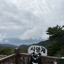 명문애견 이미지