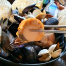 지금조개 이미지