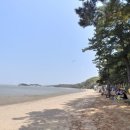 솔밭야영장 이미지