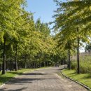 애향공원 이미지