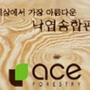 에이스간판