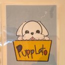 매일 여기 | [사당 데이트코스 추천] 젤라또 맛집 키키젤라또 : 200가지 매일 달라지는 맛