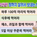 집에서 유산균 만들기 내 몸속 독소를 제거하라 유산균 건강법 이미지