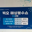 춤추는찹쌀도넛 | 여수 빅오 해상분수쇼 무료 관람｜베네치아호텔에서 본 빅오쇼와 현장 직관 후기