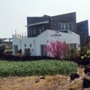 사계2248 이미지