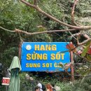 하롱베이 | 하노이 하롱베이 여행 (2) | 하롱베이 크루즈, 캐서린 크루즈 후기