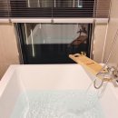 쉬자호텔 이미지