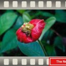 우림메디칼 이미지