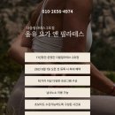 요가시와
