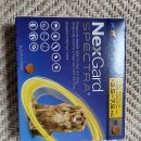 대호동물병원 이미지